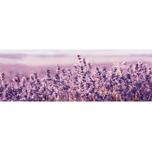 Dekor Fineza Velvet fialová Lavanda 25x73 cm lesk DLAVANDA