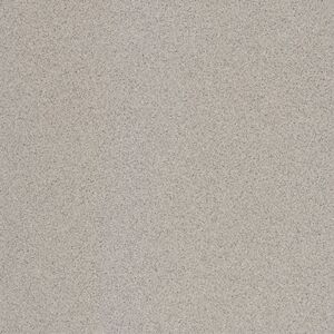 Dlažba Rako Taurus Granit sivá 60x60 cm mat TAK63076.1