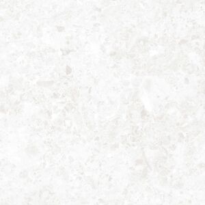 Dlažba Rako Atacama bielosivá 60x60 cm mat